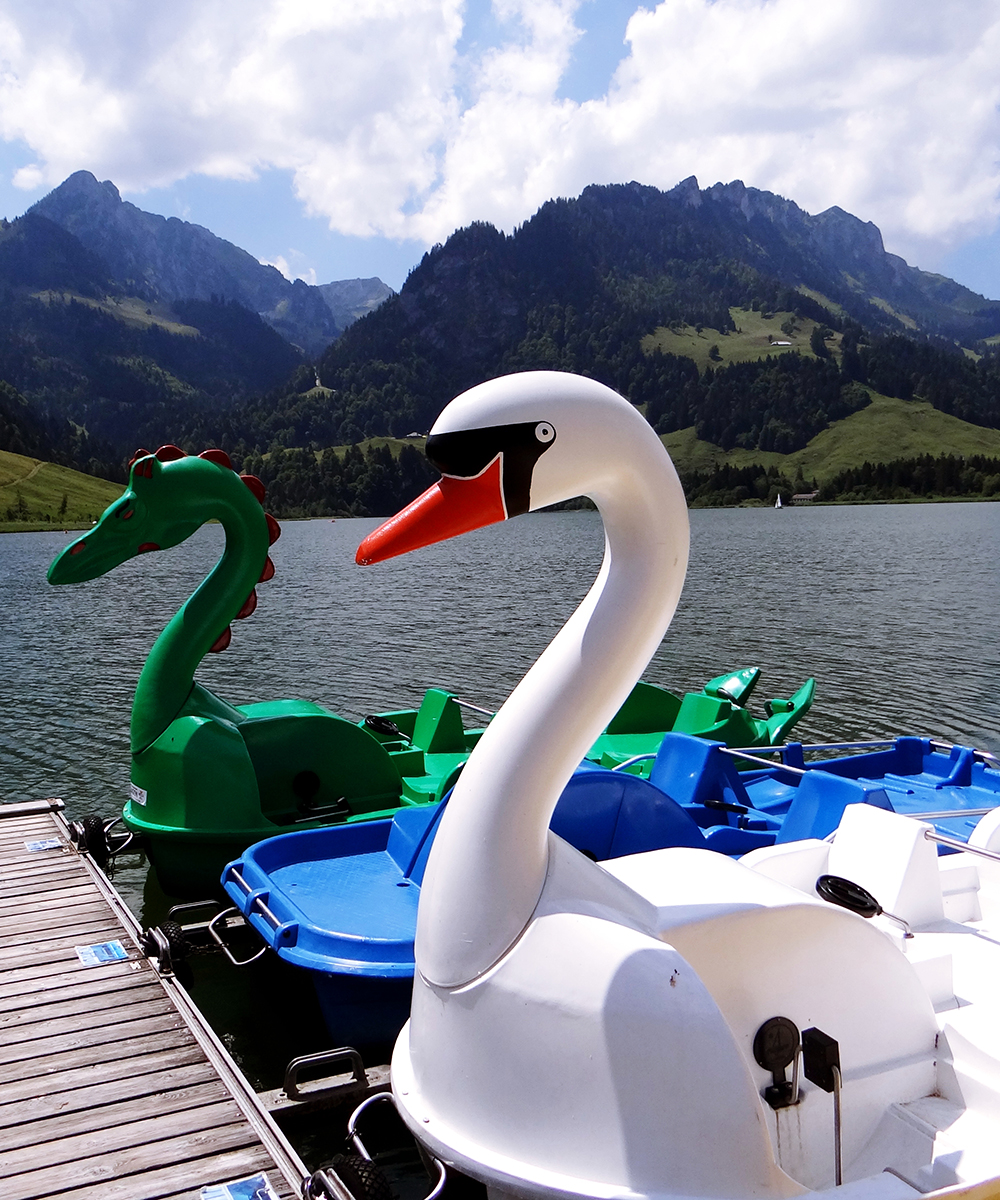 Hostellerie am Schwarzsee Hostellerie am Schwarzsee