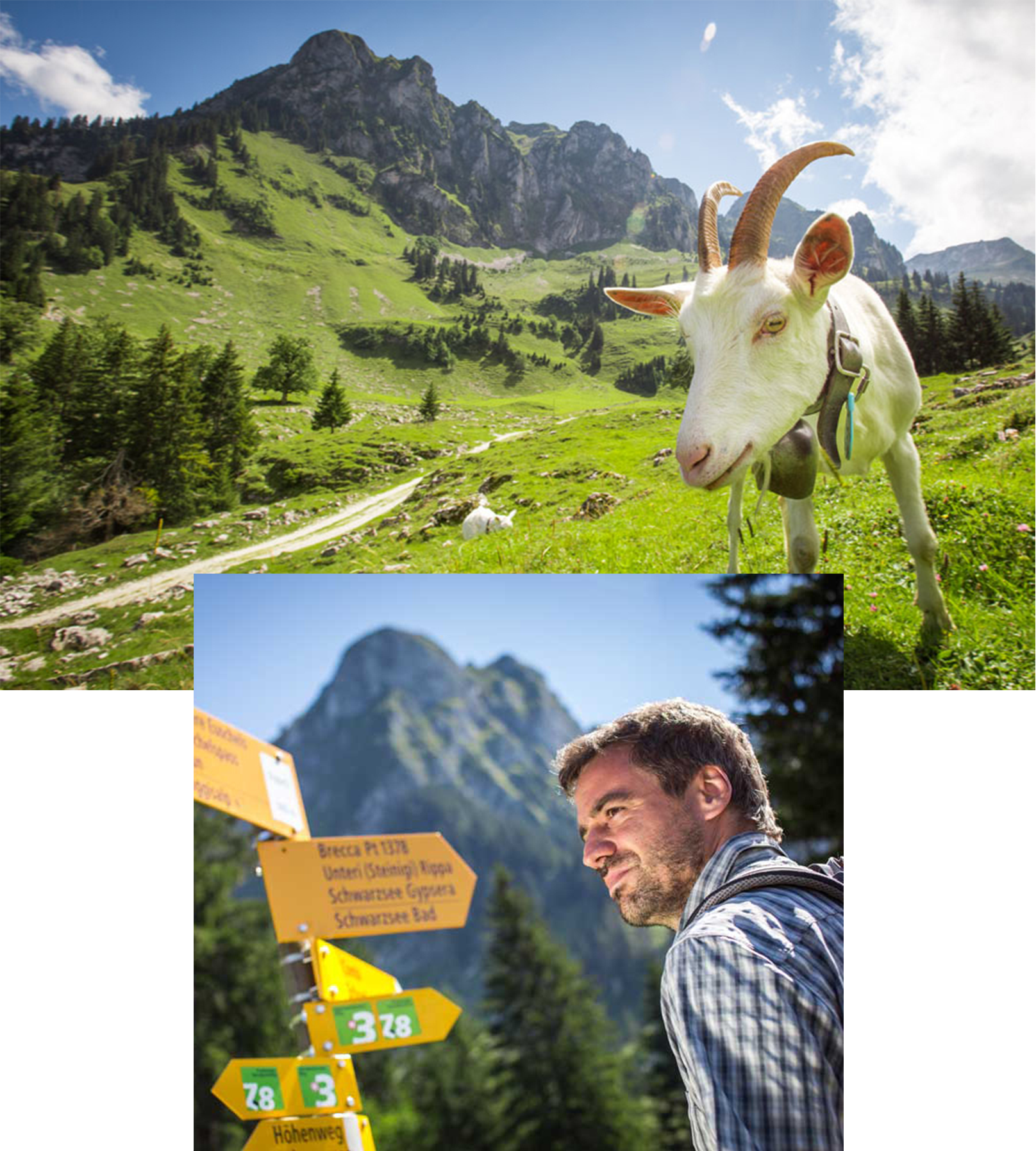 Hostellerie am Schwarzsee Hostellerie am Schwarzsee